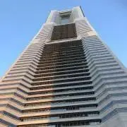 レモン プロフ必須の画像