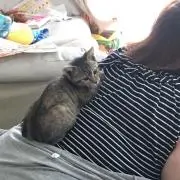 Miyuki