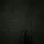 あの画像