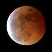 宮本伊織