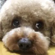 あっこ