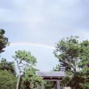 みゆき