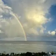 デミの画像