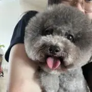 スイク★の画像