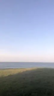 愛