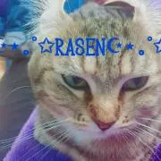 ☪︎⋆。˚✩螺旋☪︎⋆。˚✩の画像