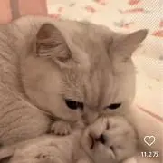 ニャロメさんコスメ断捨離中！