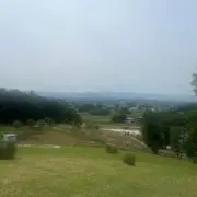 raの画像