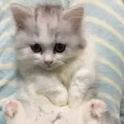せいちゃん