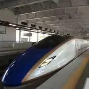 ポチの画像