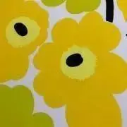 めっこの画像
