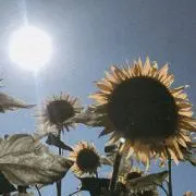 ♡•ᴥ•♡