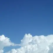 ましゅまろの画像
