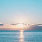 ゆーちゃんの画像