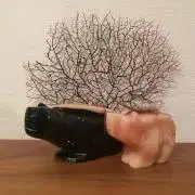 COROの画像