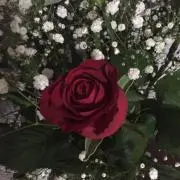 みかん☆