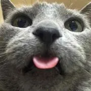 マー油