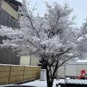 たいち
