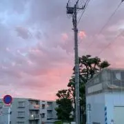Legalboyの画像