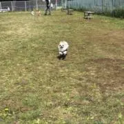Yの画像