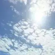 ぱんな