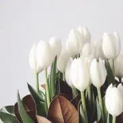 mimi's room⌇割引特典（有）の画像