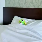 まりたの画像