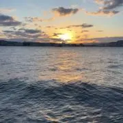 まことの画像