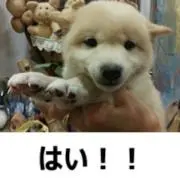 さくら咲く