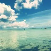Hanakoの画像