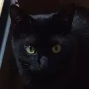 あめ ‪の画像