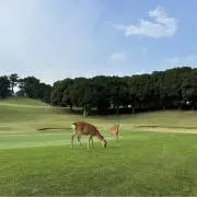 まっきー
