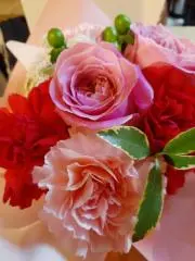 rosecolorの画像