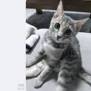 さっこ