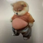 あかぐみの画像