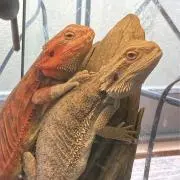 みーきち屋 メルカ店の画像