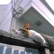たきとー