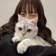 みんみんの画像
