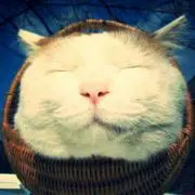 さとう　なな