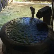 いちこの画像