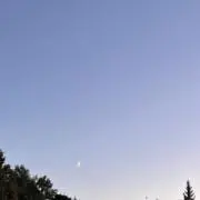 zuzuの画像