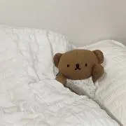 あちゃんの画像