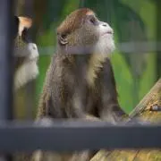 Timelordの画像
