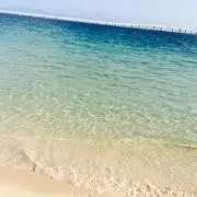 chocoの画像