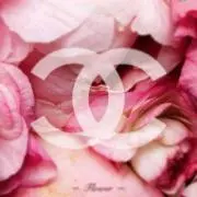 ℳ❤︎