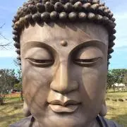 仏の画像
