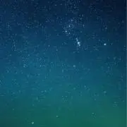 ぽんの画像
