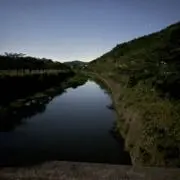 sayの画像