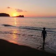 こきまるの画像