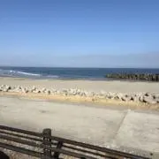 やーさんの画像